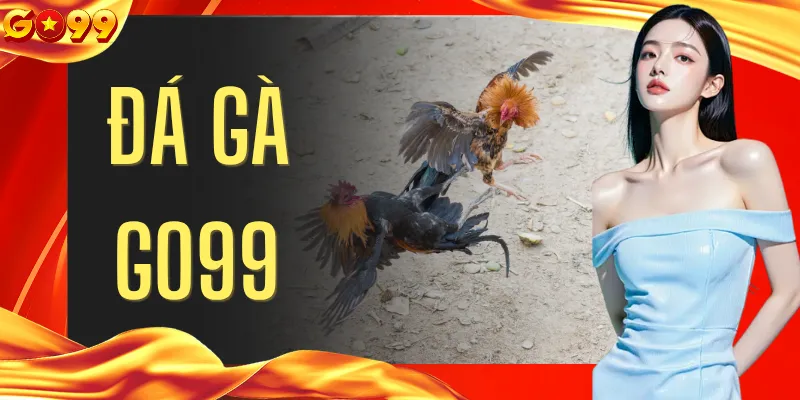 Đá Gà GO99