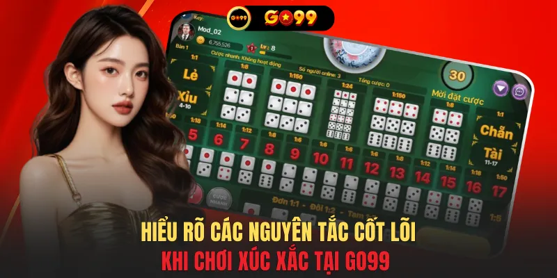 Hiểu rõ các nguyên tắc cốt lõi khi chơi xúc xắc tại GO99